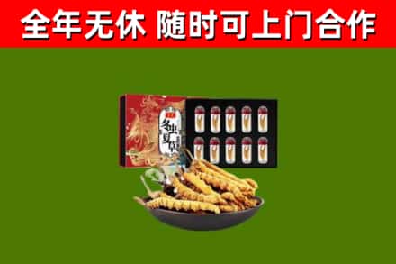 宁陕县烟酒回收冬虫夏草礼盒.jpg